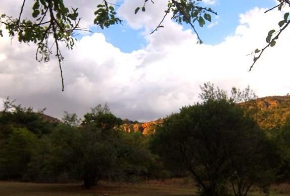 Damhoek, a place for reflection