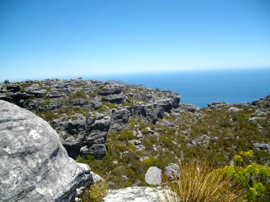 On top of Table Mountain
