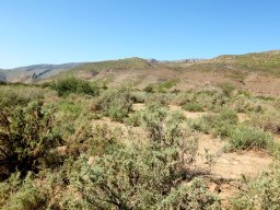 Floodplain in the Karoo