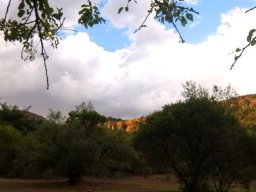 Damhoek, a place for reflection