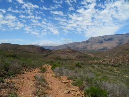 The road less travelled