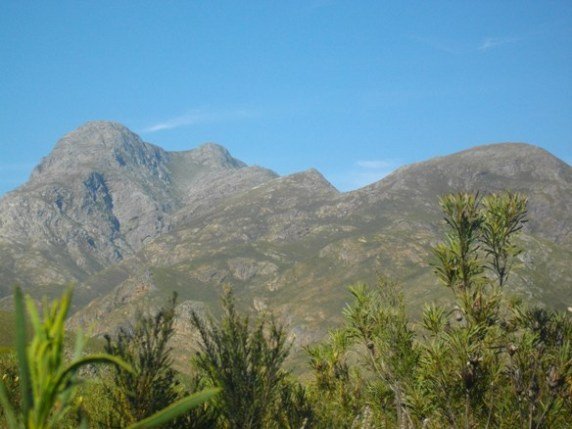 Elephant in mountain shape