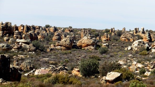 Talking rocks 