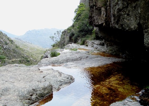 Mountain stream
