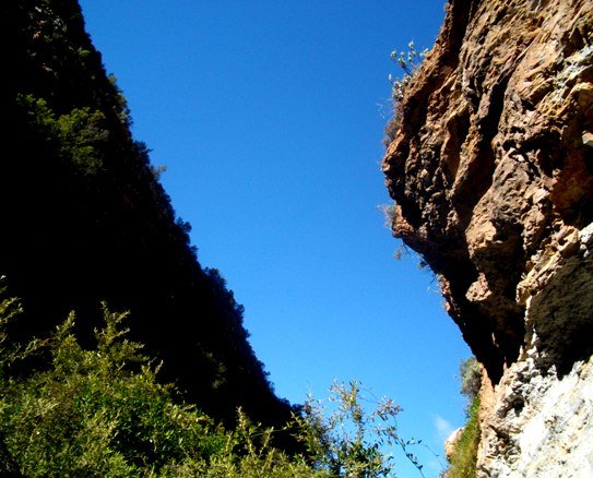 Home of the narrow outlook