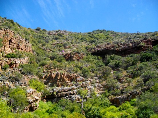 A kloof in the Rooiberg