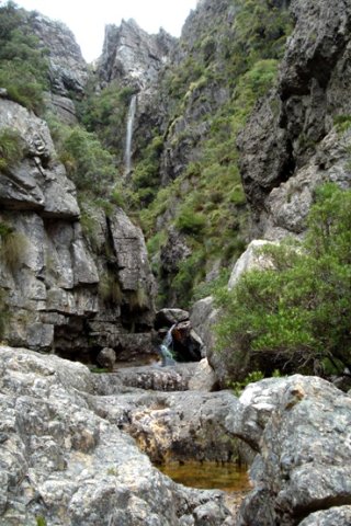 Remoteness serves biodiversity