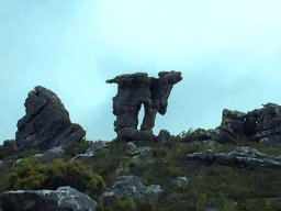 Camel Rock near Constantia Nek