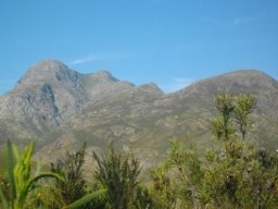 Elephant in mountain shape