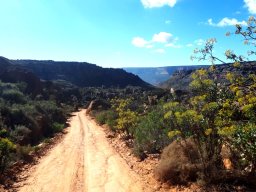Exploring the Gifberg