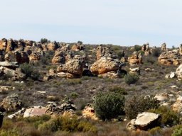 Talking rocks 