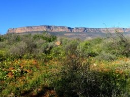 Maskam Mountain