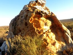 Monolith
