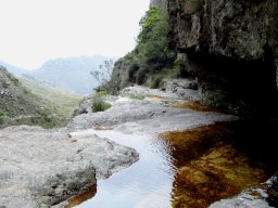 Mountain stream