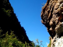 Home of the narrow outlook