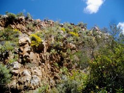 Cliff face living quarters