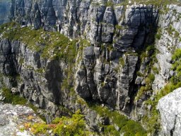 Table Mountain sandstone and fynbos