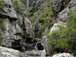 Remoteness serves biodiversity