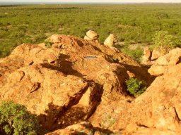 Rain water on a rock