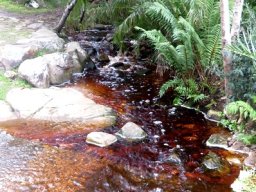 How clean is your water?