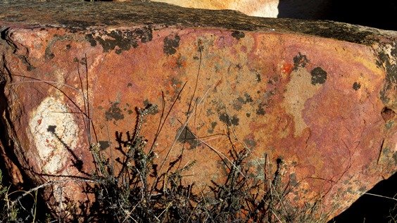 Natures notice board