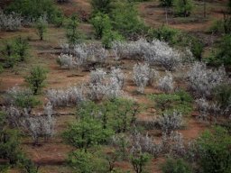 Limpopo Valley
