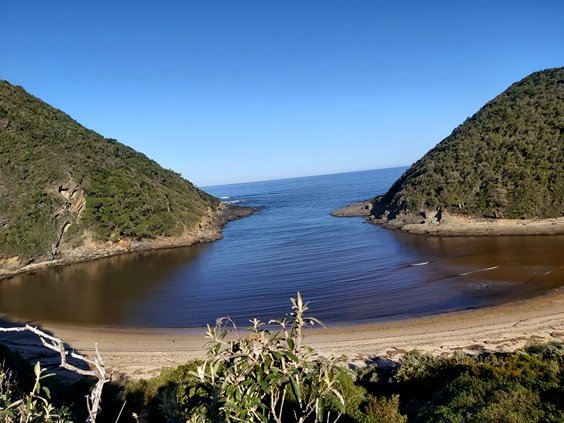 Salt River estuary 