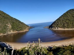 Salt River estuary 